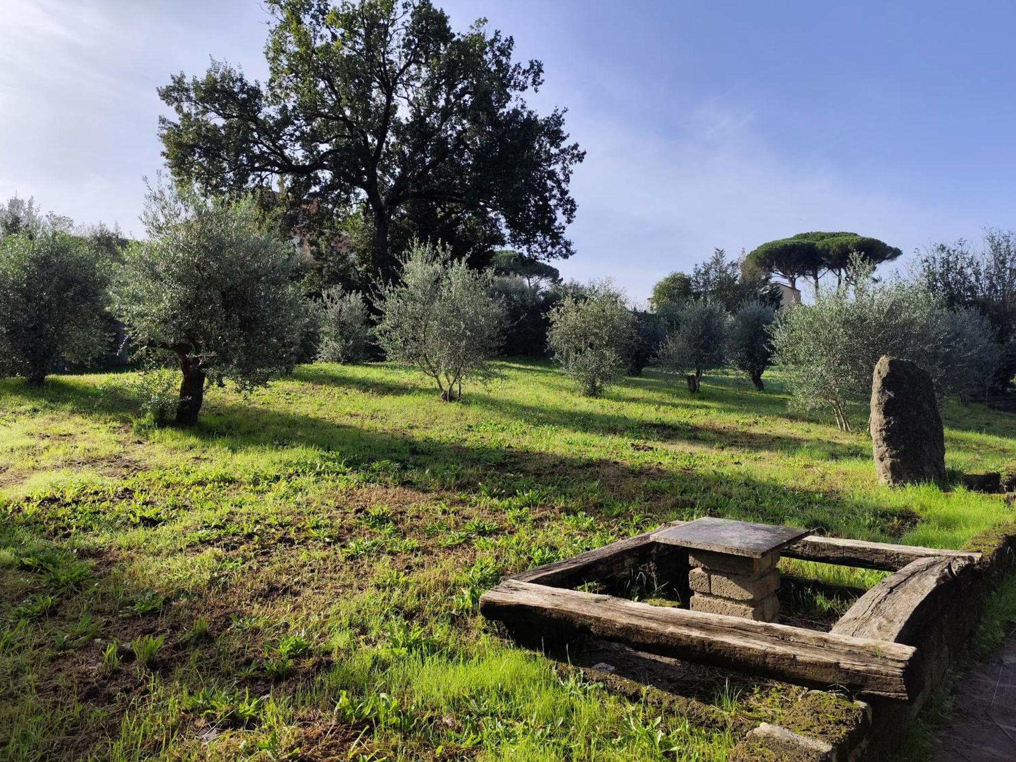 Green Hotel Poggio Regillo Frascati Eksteriør billede