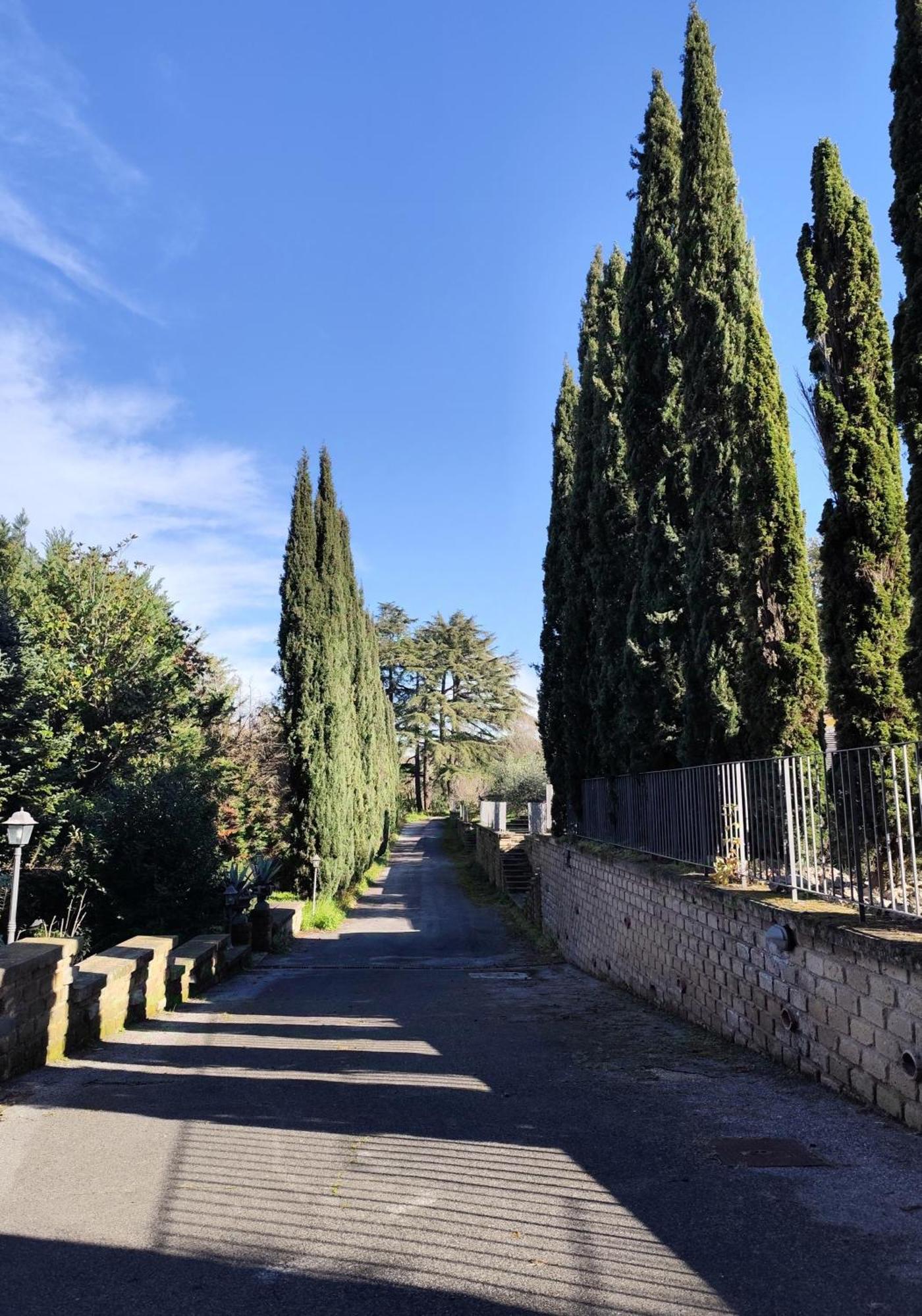 Green Hotel Poggio Regillo Frascati Eksteriør billede